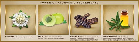 Indulekha Bringha Shampoo, Proprietary Ayurvedic Medicine For Hair Fall ...