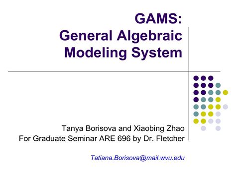 General Algebraic Modeling System 的图像结果