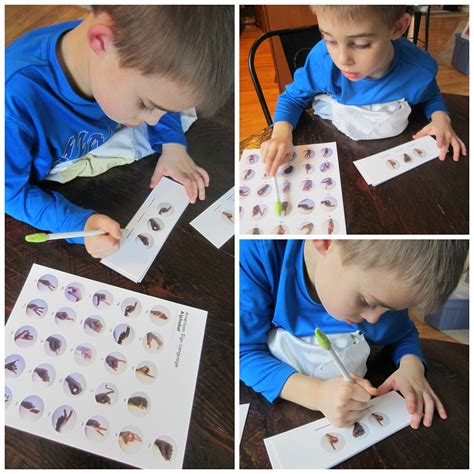 Image result for Sign Language Decoding