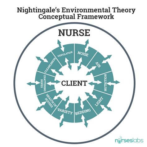 Florence Nightingale's Environmental Theory Explained