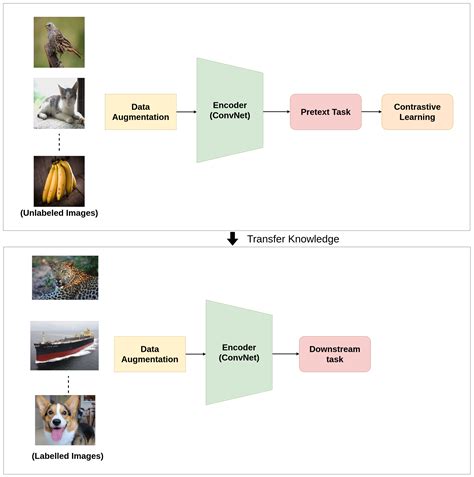 A Survey on Contrastive Self-Supervised Learning