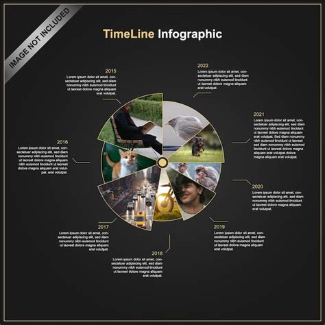 Image result for Timeline Infographic Design
