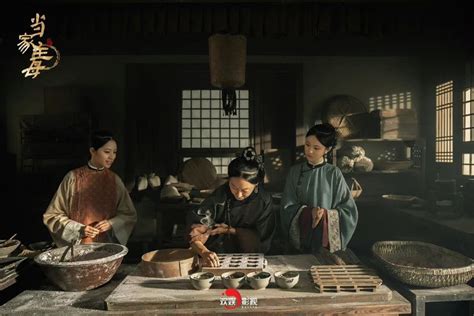 当家主母 The Matriach Chinese drama (iQiyi’s Original Network) | Genres ...