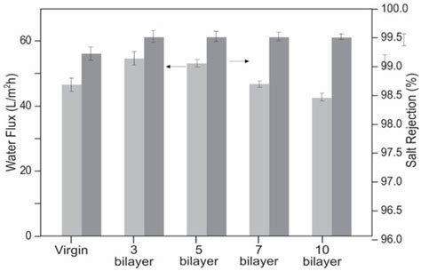 Biofouling of Polyamide Membranes: Fouling Mechanisms, Current ...