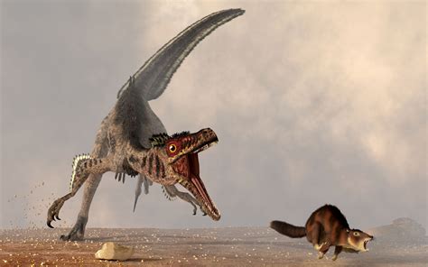 Definition Of Velociraptor at Timothy Votaw blog