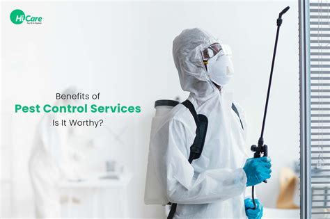 Benefits of Pest Control Services- Is It Worthy?