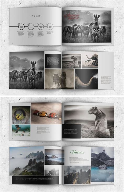 Photography album template indesign indd – Artofit