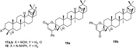 Allobetulin and Its Derivatives: Synthesis and Biological Activity | MDPI