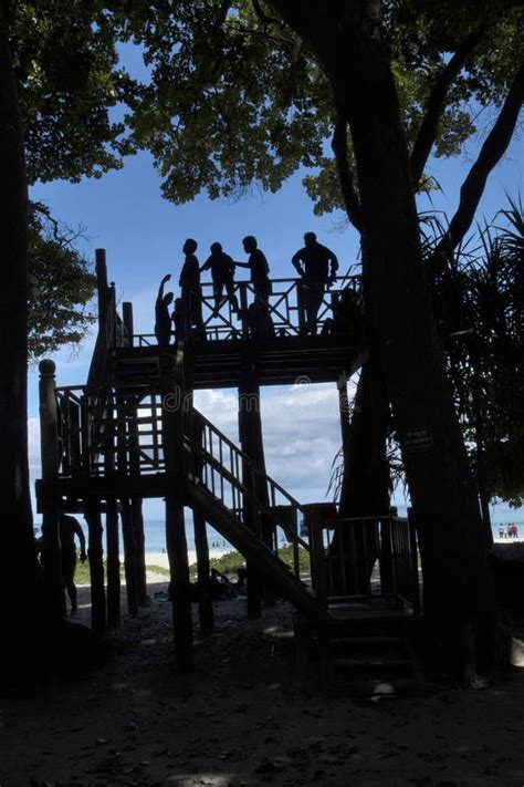 People Standing Viewing 的图像结果