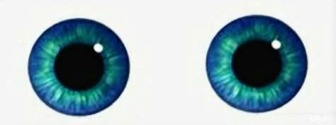 Image result for Back Color in Visual Basic