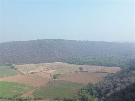 Centre committed to keeping Aravalli safe, says Environment Minister ...