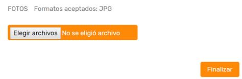 Image result for CSS File Input Style