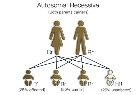 Inherited retinal disease - Retina Australia