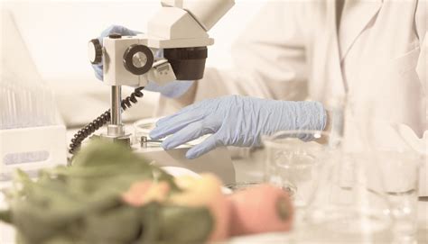 Biostimulant | Ross LifeScinece