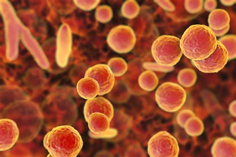 How Mycoplasma Genitalium Is Diagnosed