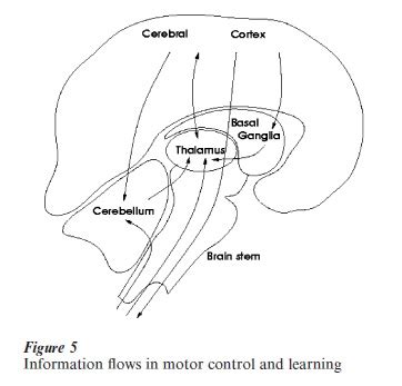 Image result for Models Control