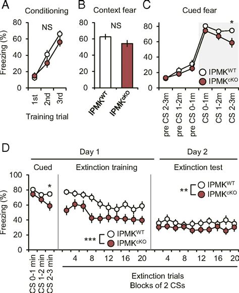 Inositol polyphosphate multikinase mediates extinction of fear memory | PNAS