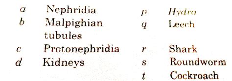 Match the columns and find out the correct combination