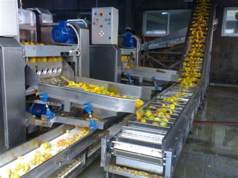 黄桃罐头生产流水线-食品行业-上海柳惜机械设备有限公司