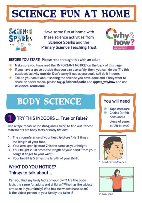 Image result for Science Home Activity