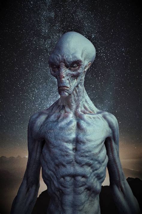 Image result for Alien Evolution History