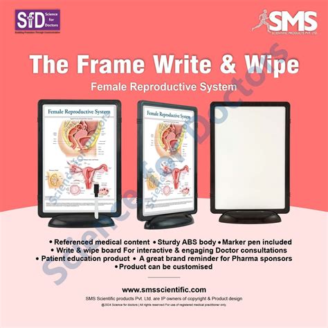 Female Reproductive System: The Frame Write & Wipe – SMS Scientific ...