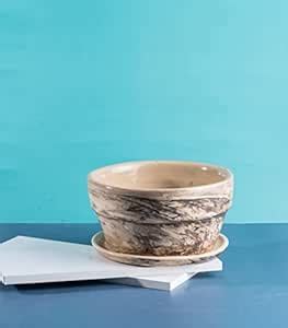 Nurturing Green® Dark Brown Ceramic Pots with Marble Finish (Plants Not ...