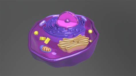 Animal Cell Model 3d