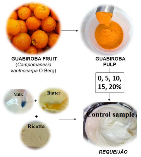 Development and Chemical, Physical, Functional, and Multi-Element ...