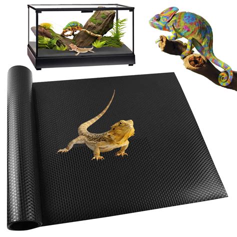 Snapklik.com : QWR 2 Pack Bearded Dragon Tank Accessories,Reptile ...