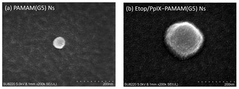 Photochemical Internalization of Etoposide Using Dendrimer Nanospheres ...