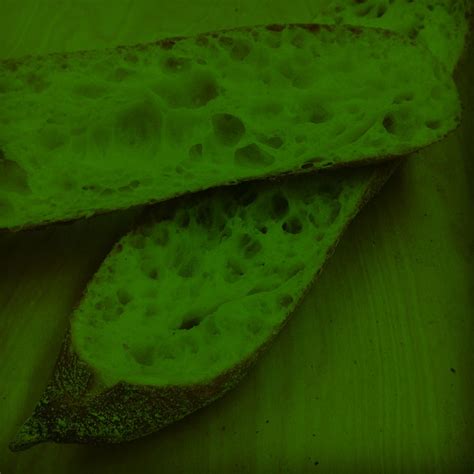 Central Milling Home // Premium Flour & Grains for Professional Bakers