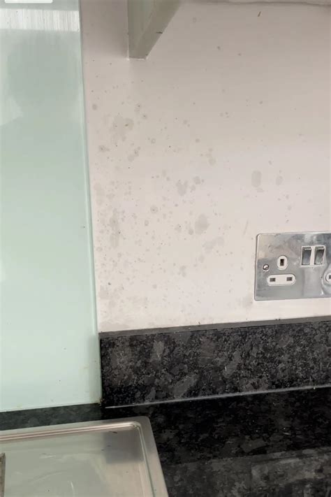 How To Stop Grease Stains Coming Through Paint With This Great Primer ...