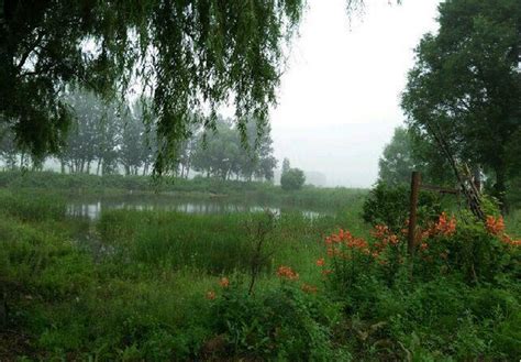 黑龙江省牡丹江市宁安区240亩鱼池转让- 聚土网