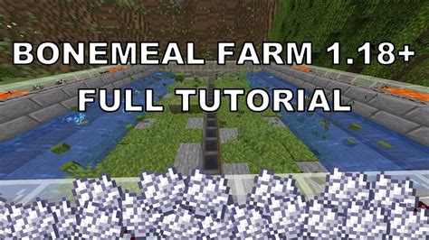 Image result for Java 1.18 Schleim Farm