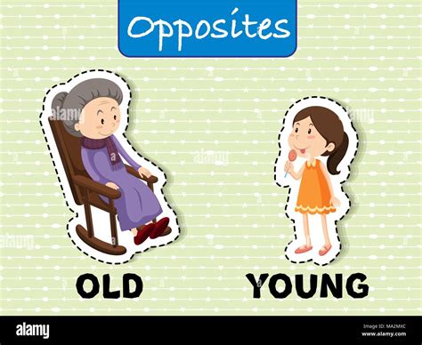 Opposite words for old and young illustration Stock Vector Image & Art ...
