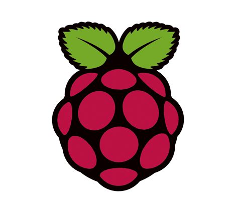 Image result for Raspberry Pi PNG