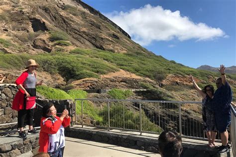 THE PINEAPPLE EXP (2026) All You Need to Know BEFORE You Go (w/ Reviews ...