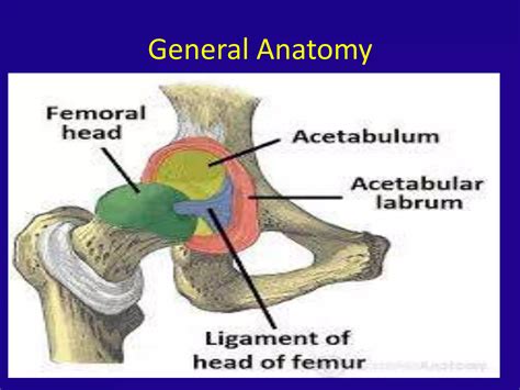 Femoroacetabular impingement syndrome | PPTX