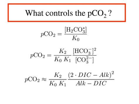 Image result for PCO2 Meaning