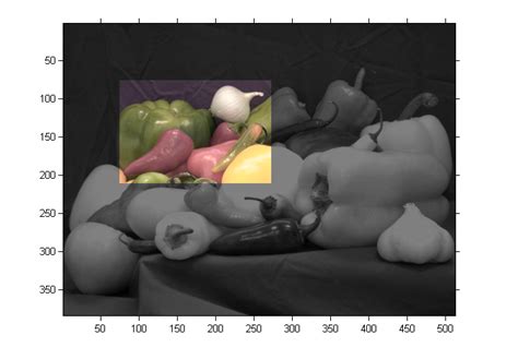 Template Matching MATLAB 的图像结果