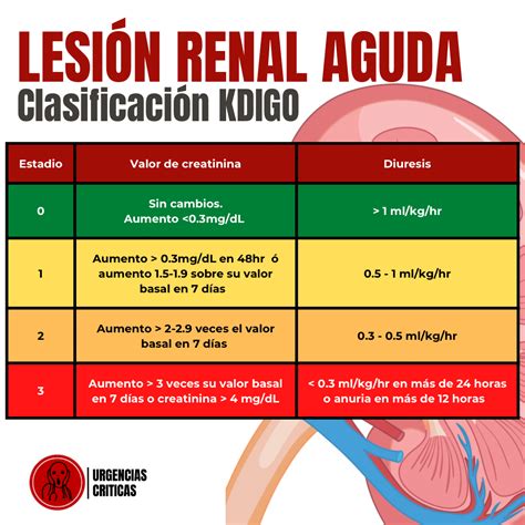 Insuficiencia Renal