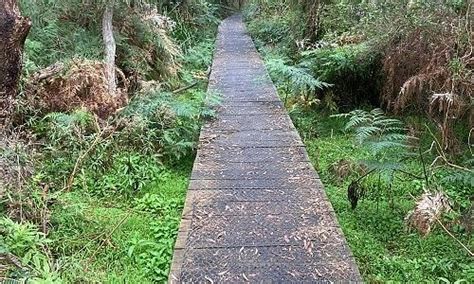 SHALLOW INLET (2026) All You Need to Know BEFORE You Go (with Photos ...