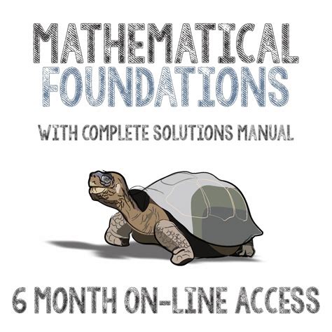 Image result for Turtle Math Open