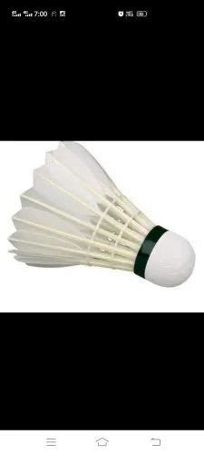 Shuttle Cock Feather Texture 的图像结果