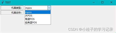 Python Tkinter ComboBox 的图像结果