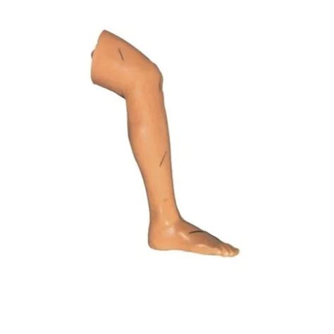 Advanced Surgical Suture Leg Model – REVITI