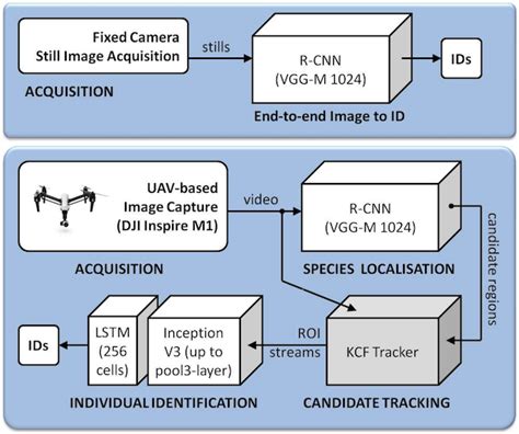 Computer Vision Wildlife 的图像结果