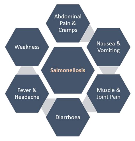 What Are The Signs Of Salmonella Poisoning In Dogs