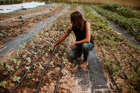 Build an Herbal Container Garden with Spore and Seed, Enoch Pratt Free ...